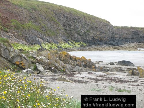 Rosses Point